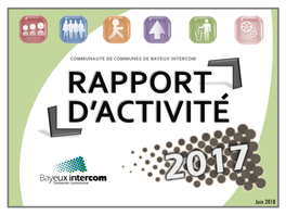 Rapport D Activites 2017 BIC.Pdf