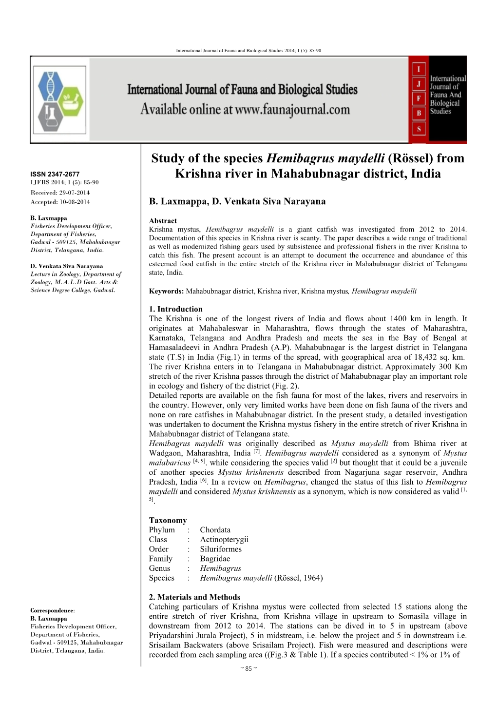 Study of the Species Hemibagrus Maydelli (Rössel) from Krishna River