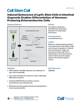 Induced Quiescence of Lgr5+ Stem Cells in Intestinal Organoids Enables Differentiation of Hormone-Producing Enteroendocrine Cells