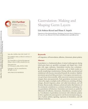 Gastrulation: Making and Shaping Germ Layers