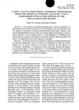 A New Calcinus (Decapoda: Anomura: Diogenidae) from the Tropical Western Atlantic, and a Comparison with Other Species of the Genus from the Region