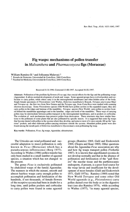 Mechanisms of Pollen Transfer in Malvanthera and Pharmacosycea Figs (Moraceae)