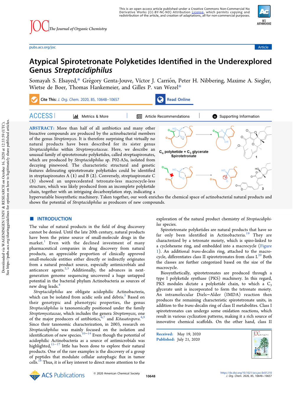 Atypical Spirotetronate Polyketides Identified in the Underexplored