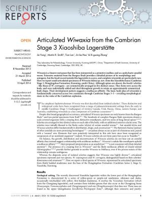 Articulated Wiwaxia from the Cambrian Stage 3 Xiaoshiba Lagersta¨Tte