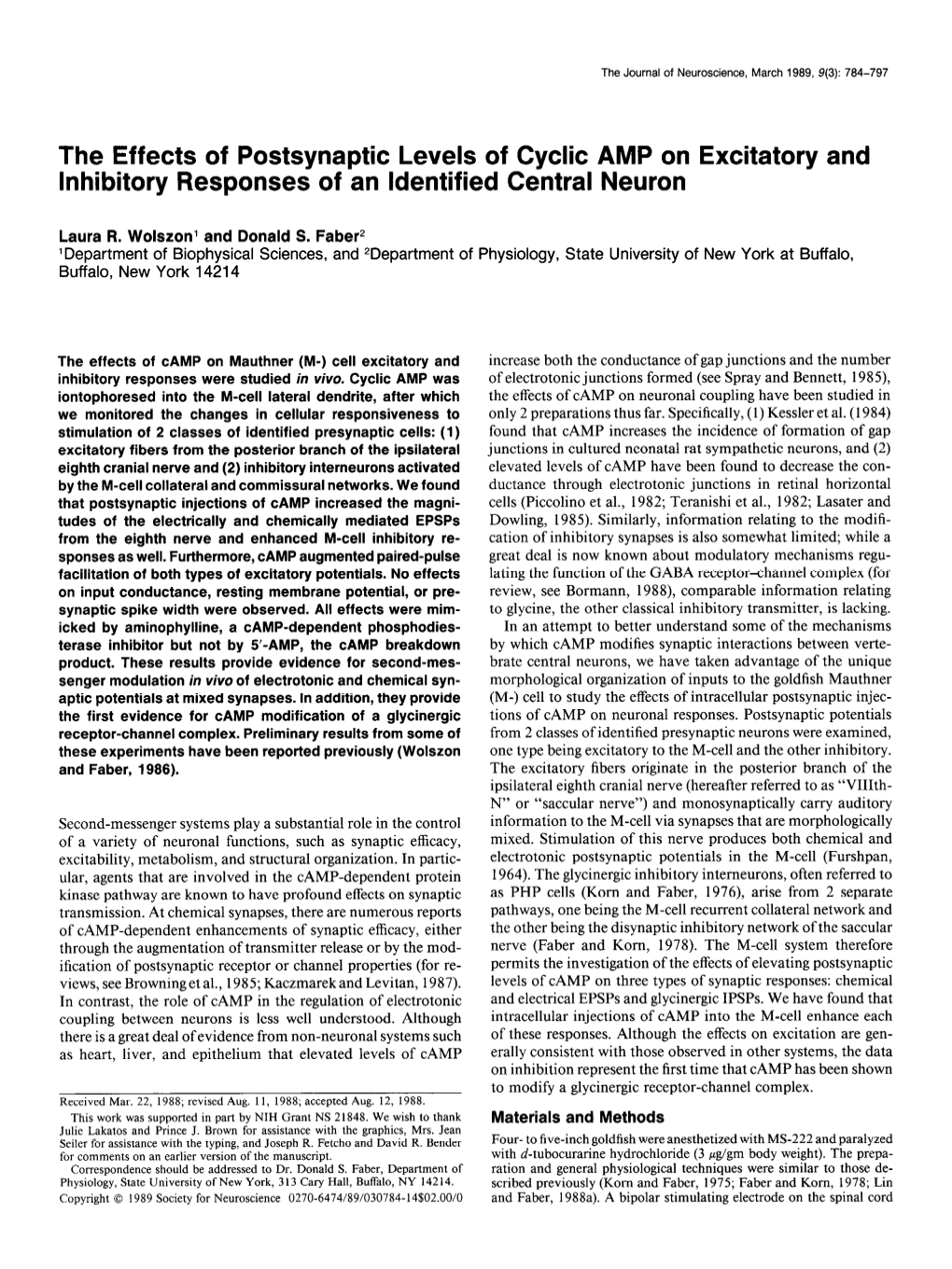 The Effects of Postsynaptic Levels of Cyclic AMP on Excitatory and Inhibitory Responses of an Identified Central Neuron