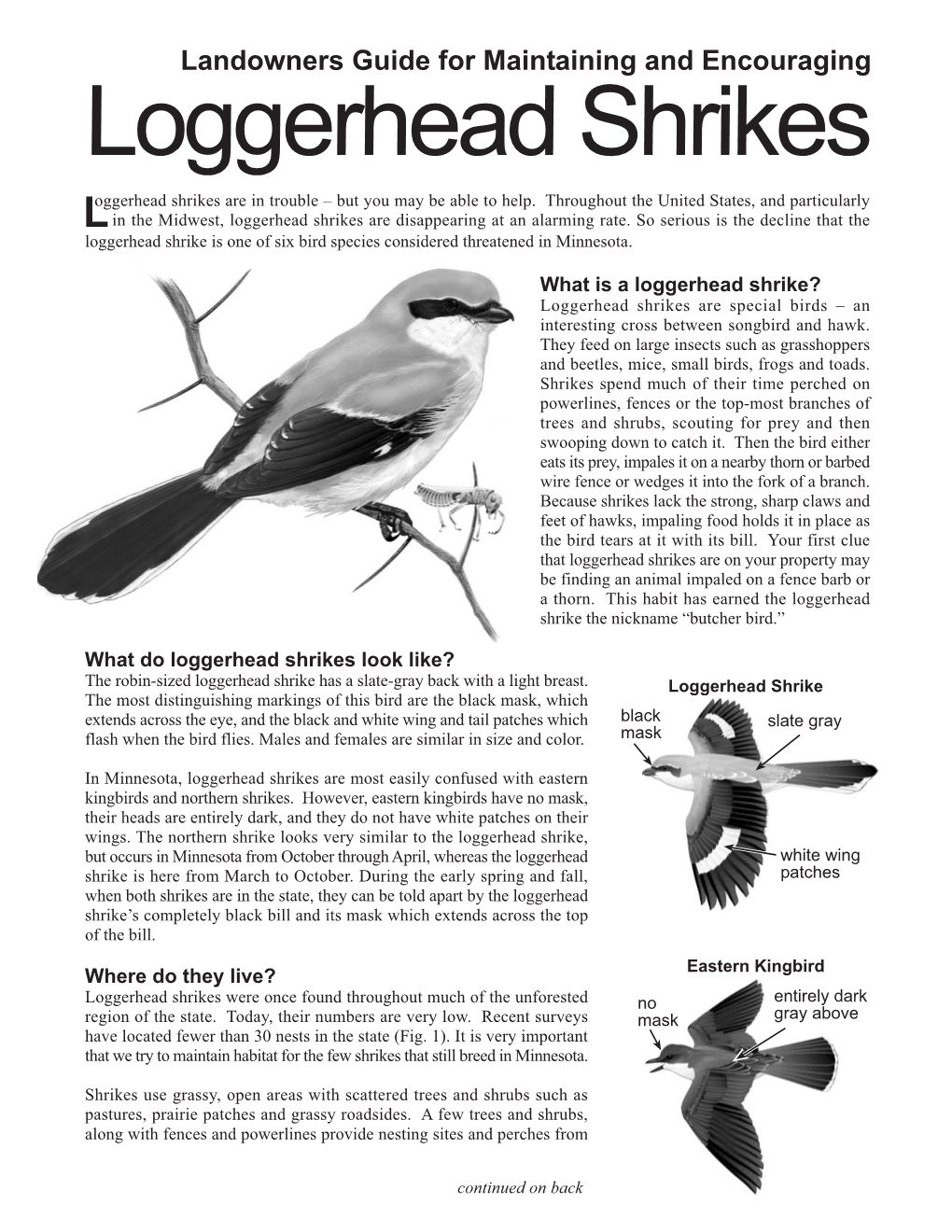 Landowners Guide to Maintaining and Encouraging Loggerhead Shrikes