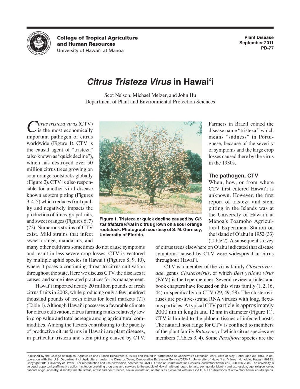 Citrus Tristeza Virus in Hawai'i