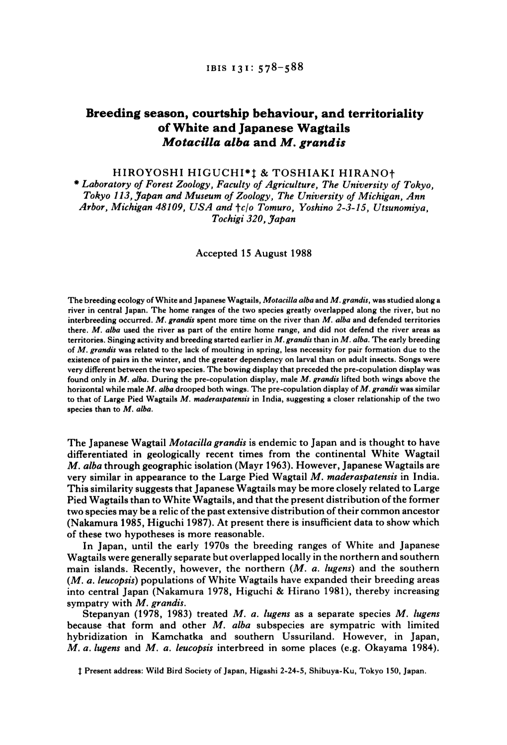 Breeding Season, Courtship Behaviour, and Territoriality of White and Japanese Wagtails Motacilla Alba and M