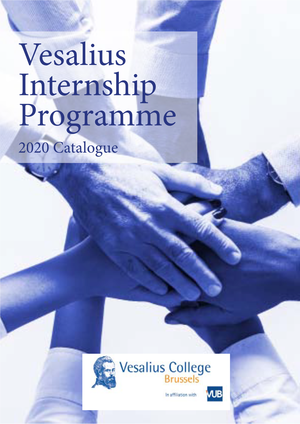 Vesalius Internship Programme 2020 Catalogue