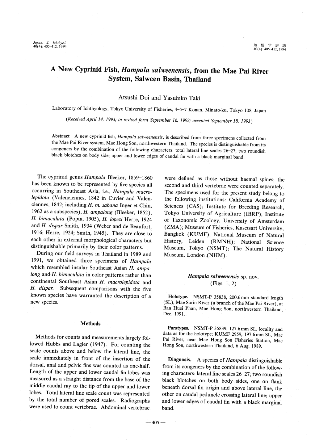 A New Cyprinid Fish, Hampala Salweenensis , from the Mae Pai River System, Salween Basin, Thailand