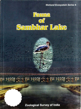 Sambhar Lake (Rajasthan)
