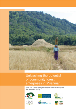 Unleashing the Potential of Community Forest Enterprises in Myanmar