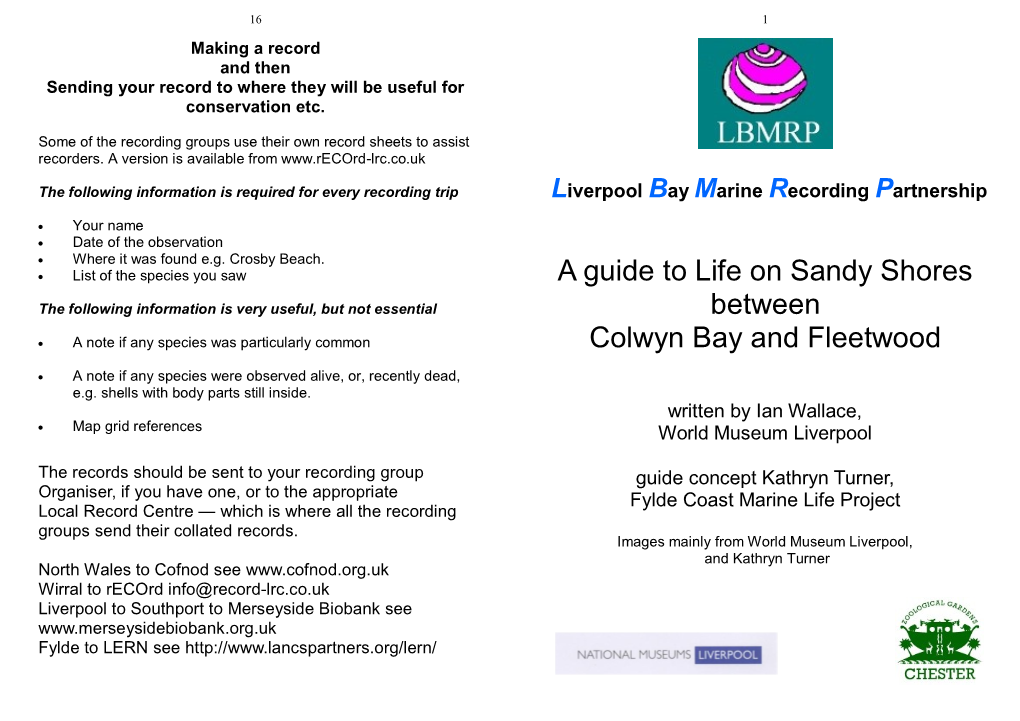A Guide to Life on Sandy Shores Between Colwyn Bay and Fleetwood
