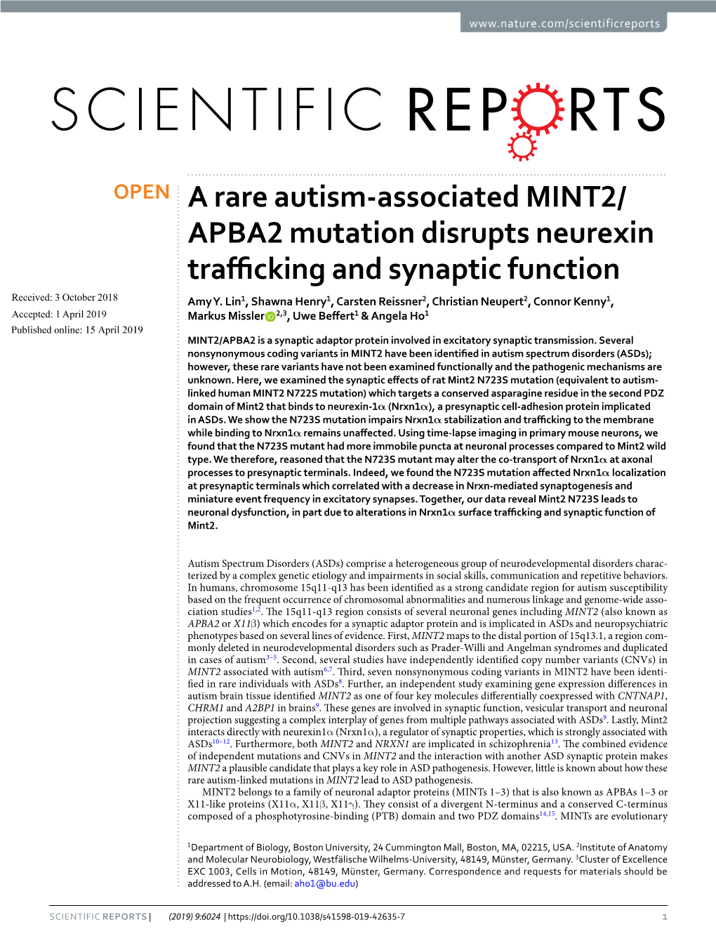 A Rare Autism-Associated MINT2/APBA2 Mutation Disrupts