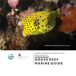 Housereef Marineguide