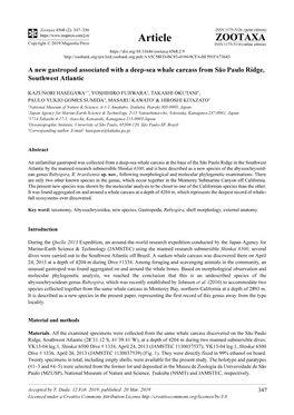 A New Gastropod Associated with a Deep-Sea Whale Carcass from São Paulo Ridge, Southwest Atlantic