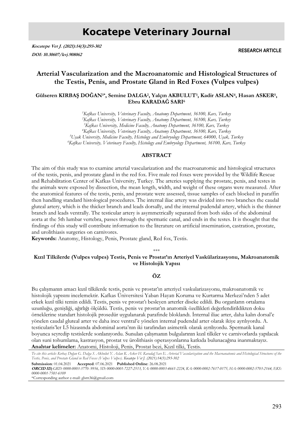 Arterial Vascularization and the Macroanatomic and Histological Structures of the Testis, Penis, and Prostate Gland in Red Foxes (Vulpes Vulpes)