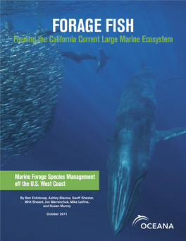 FORAGE FISH Feeding the California Current Large Marine Ecosystem