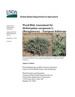 Weed Risk Assessment for Heliotropium Europaeum L. (Boraginaceae)