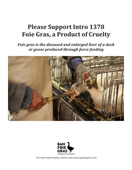 Please Support Intro 1378 Foie Gras, a Product of Cruelty