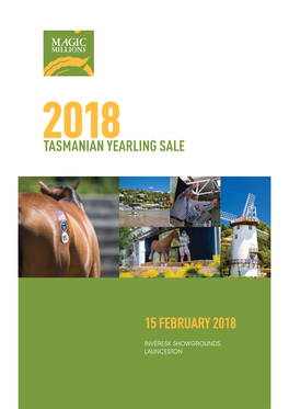 Tasmanian Yearling Sale 15 February 2018