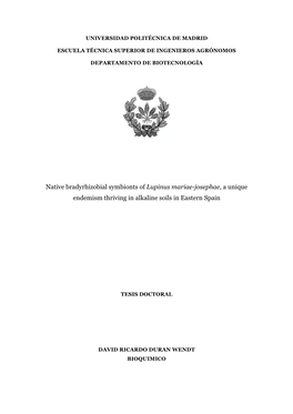 Native Bradyrhizobial Symbionts of Lupinus Mariae-Josephae, a Unique Endemism Thriving in Alkaline Soils in Eastern Spain