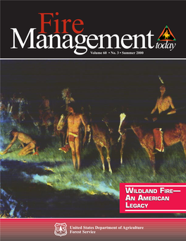 Wildland Fire Before the 20Th Century; the Next Will Focus on Aspects of Wildland Fire Management in the 20Th Century