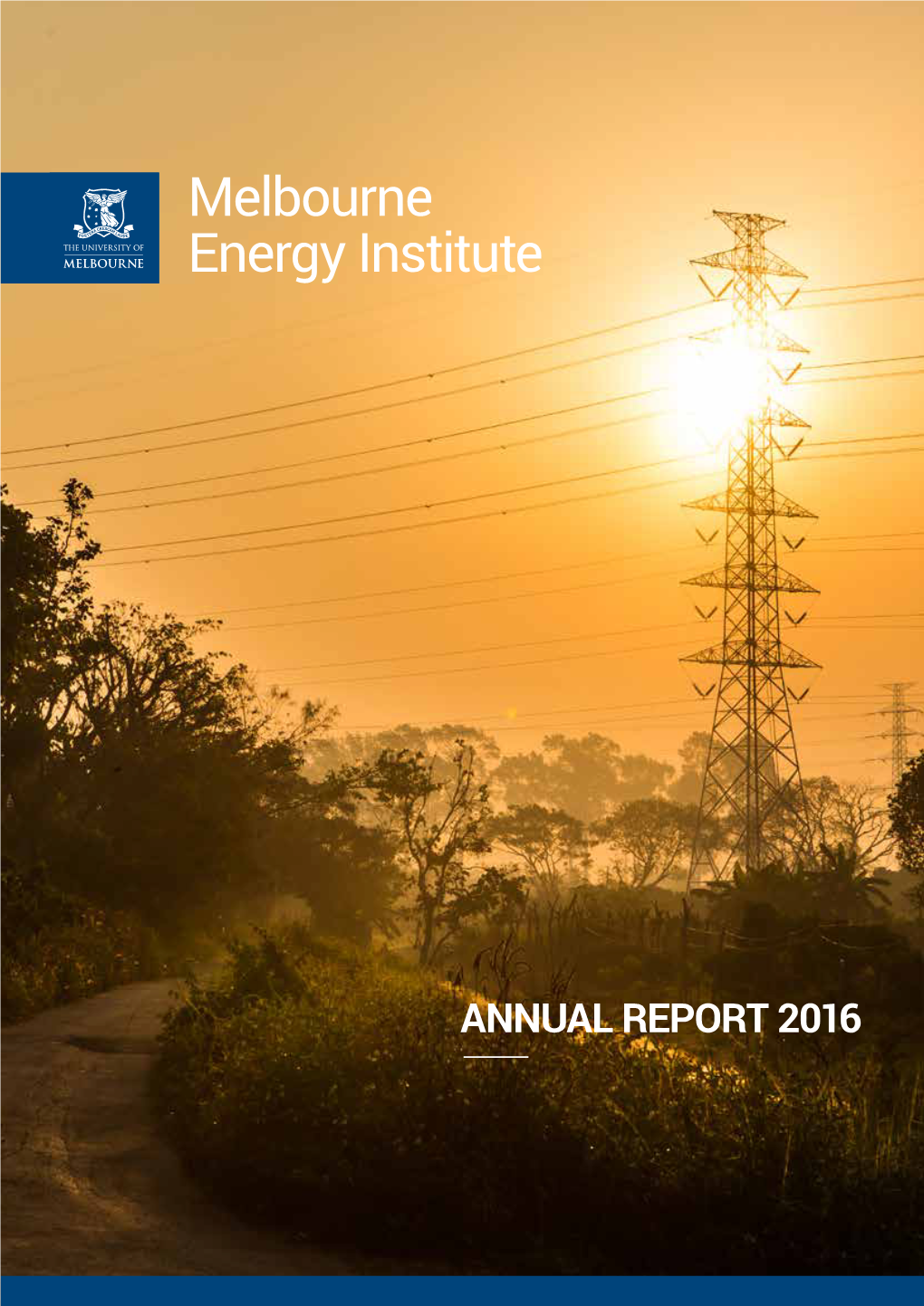 MEI Annual Report 2016