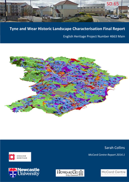 Tyne and Wear Historic Landscape Characterisation Final Report