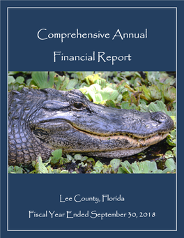 Comprehensive Annual Financial Report for the Fiscal Year Ended September 30, 2018