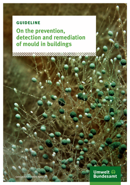 Guideline on the Prevention, Detection and Remediation of Mould in Buildings