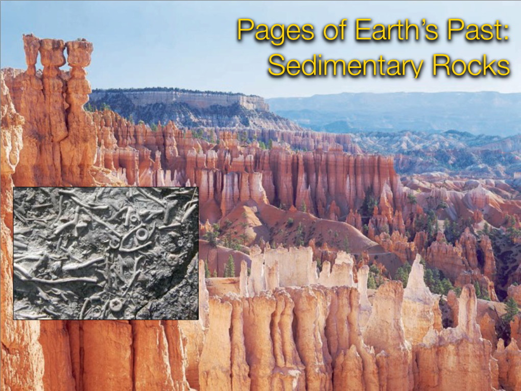 Sedimentary Rocks Sedimentary Cover  Earth Is Covered by a Thin ‘Veneer’ of Sediment