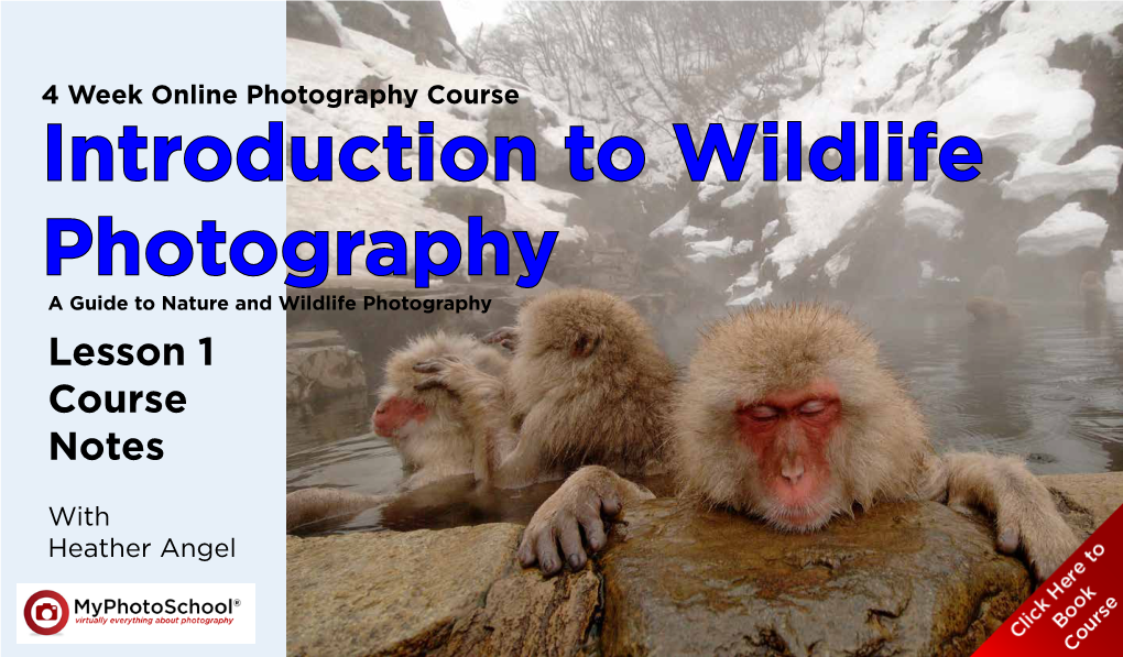 Introduction to Wildlife Photography a Guide to Nature and Wildlife Photography Lesson 1 Course Notes