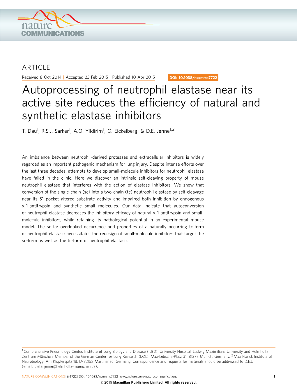 Autoprocessing of Neutrophil Elastase Near Its Active Site Reduces the Efﬁciency of Natural and Synthetic Elastase Inhibitors