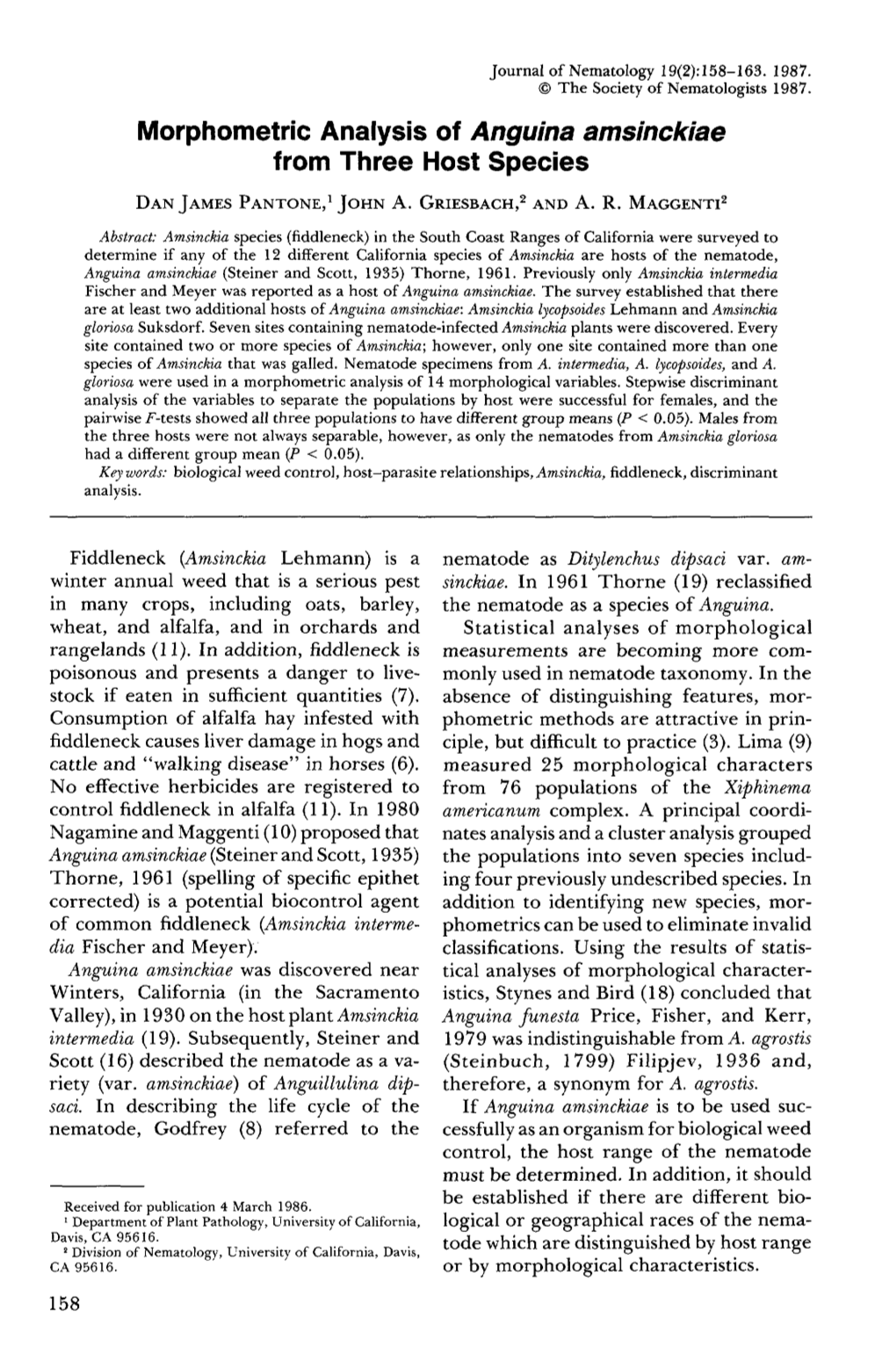 Morphometric Analysis of Anguina Amsinckiae from Three Host Species