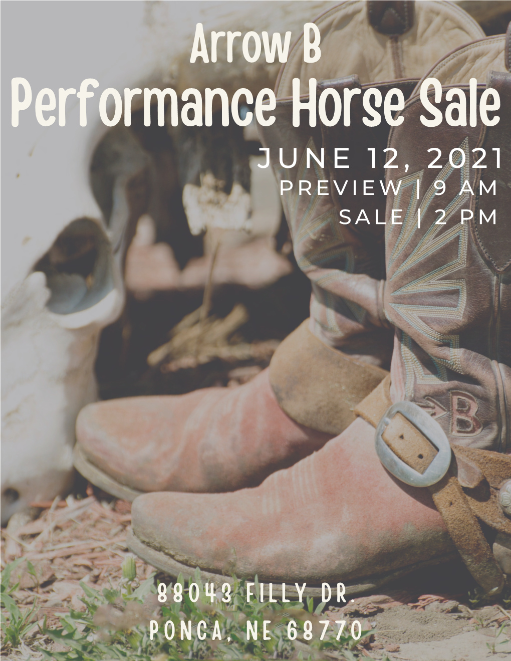 Performance Horse Sale JUNE 12, 2021 PREVIEW | 9 AM SALE | 2 PM