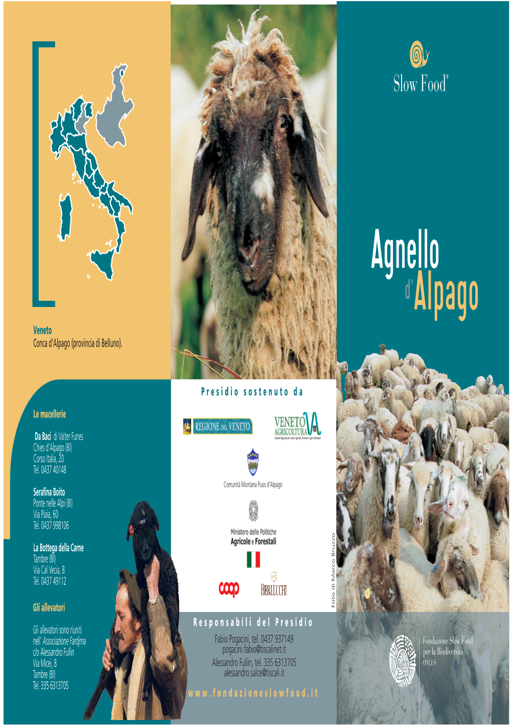 Agnello D'alpago