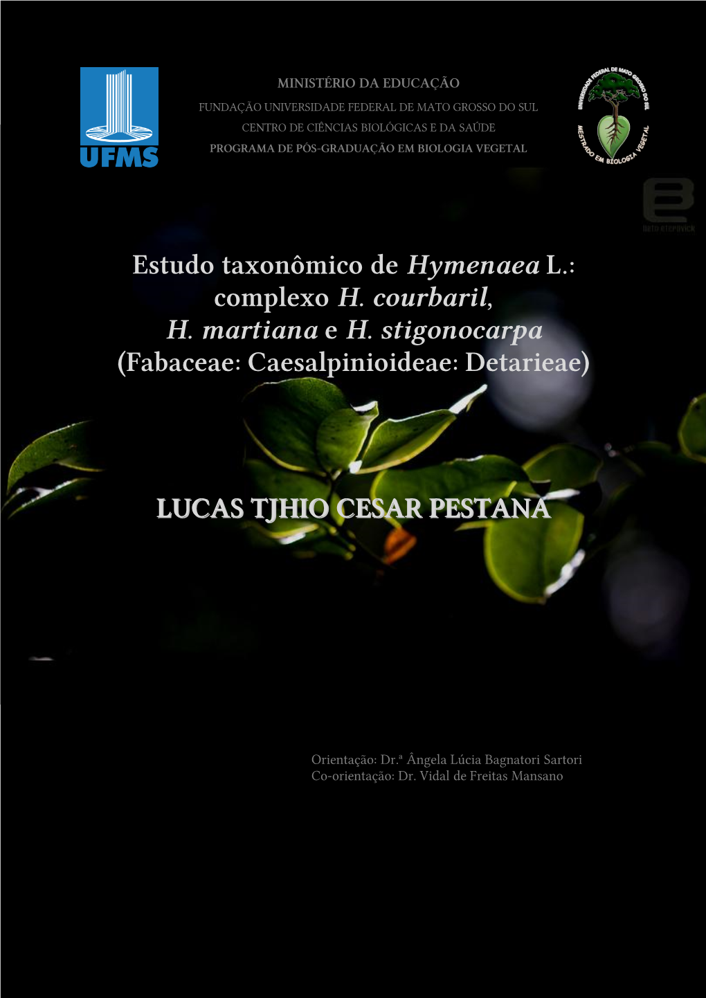 Estudo Taxonômico De Hymenaea L.: Complexo H. Courbaril, H. Martiana E H