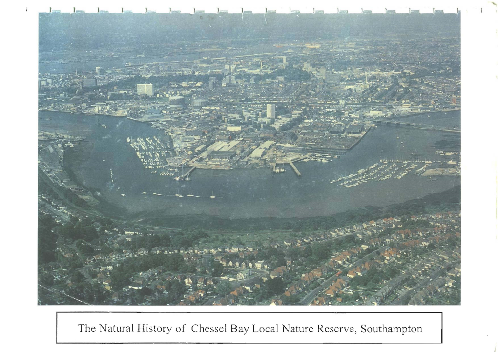 The Natural History of Chessel Bay Local Nature Reserve, Southampton © Southampton Wildlife Link Chaimlan: Julian Crel110na B.Sc