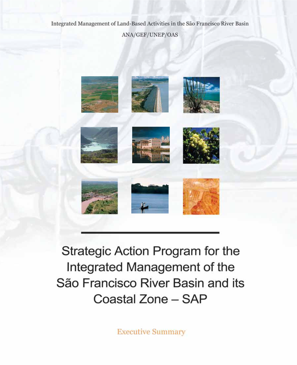Strategic Action Program for the Integrated Management of the São Francisco River Basin and Its Coastal