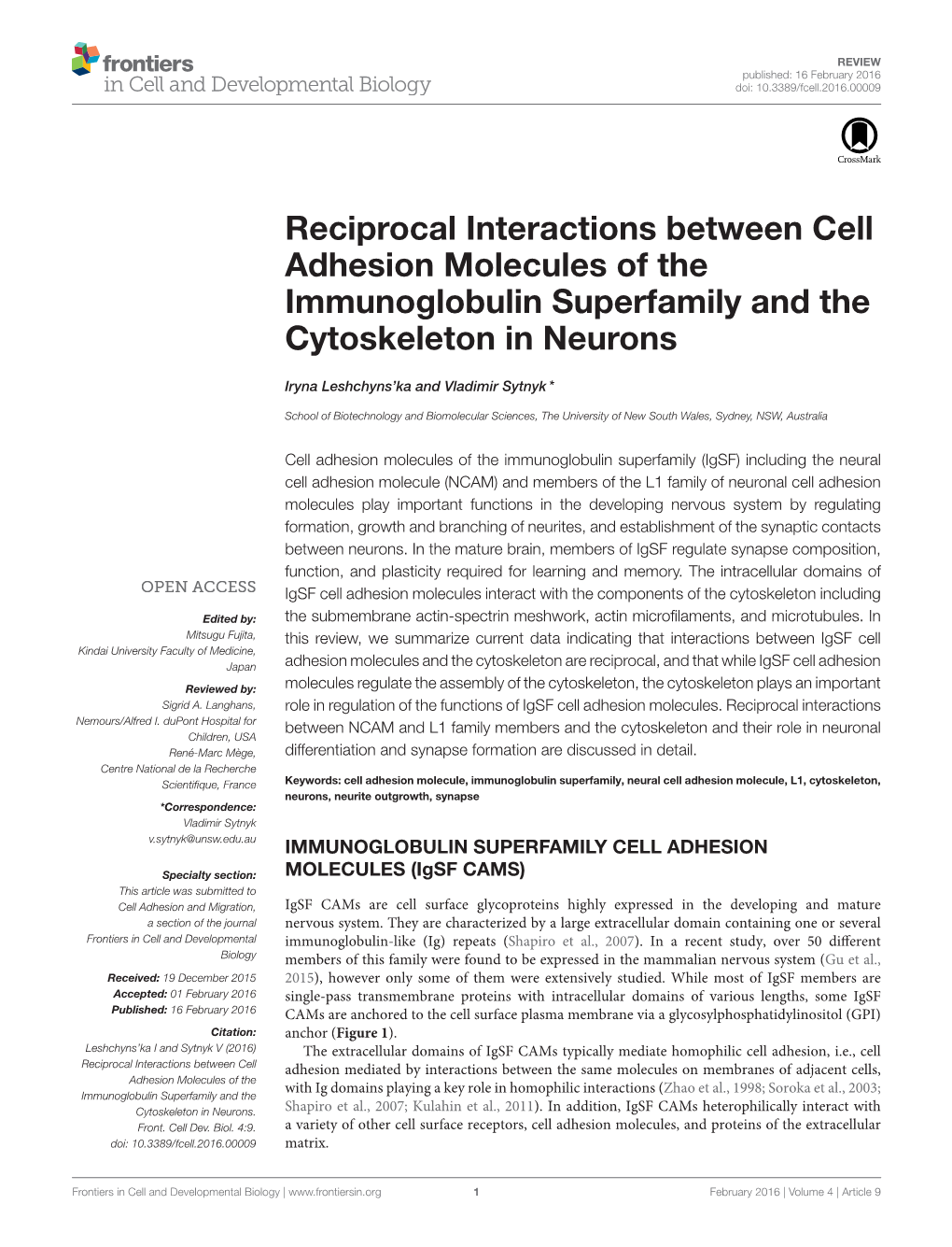 Reciprocal Interactions Between Cell Adhesion Molecules of the Immunoglobulin Superfamily and the Cytoskeleton in Neurons