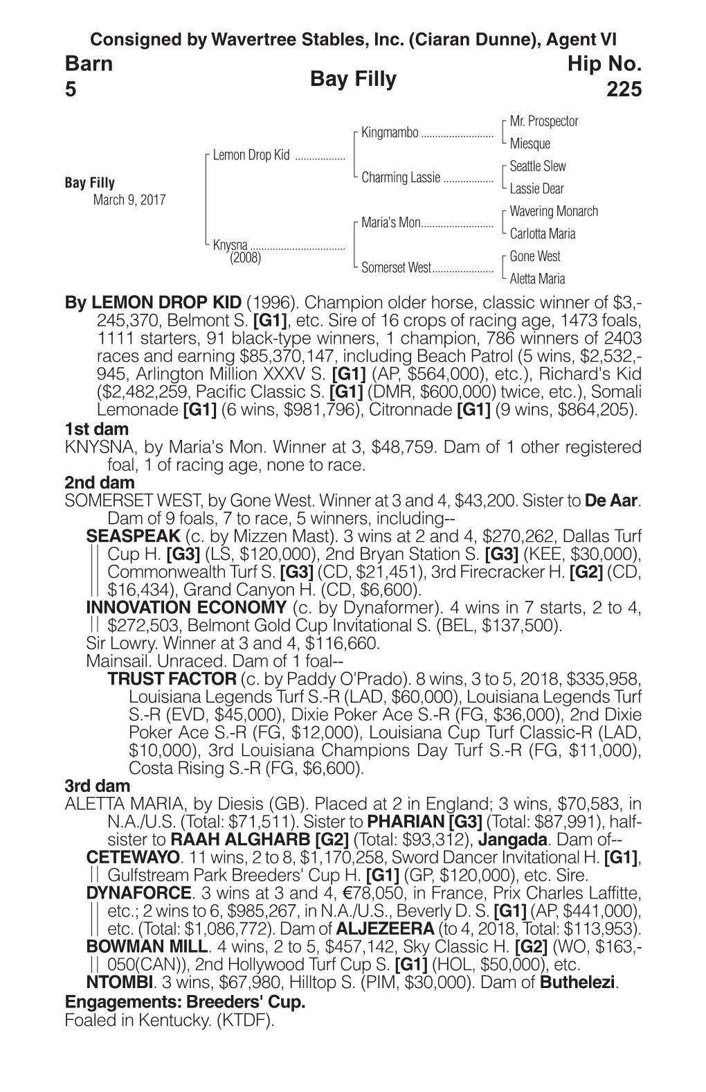 Bay Filly Barn 5 Hip No