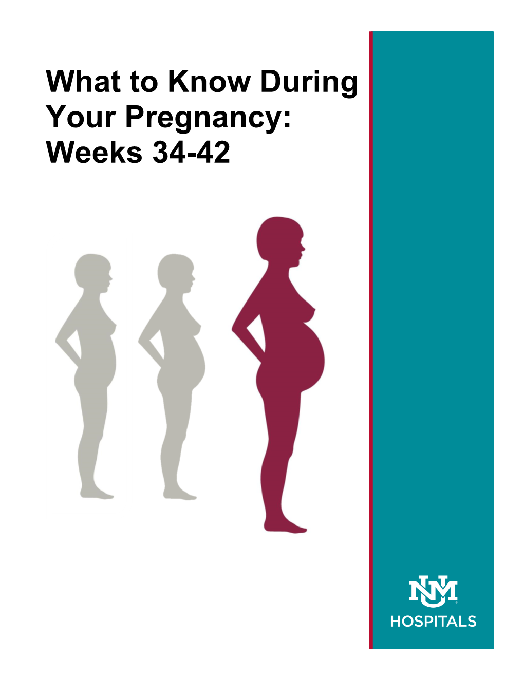 What to Know During Your Pregnancy: Weeks 34-42