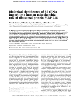 Biological Significance of 5S Rrna Import Into Human Mitochondria: Role of Ribosomal Protein MRP-L18