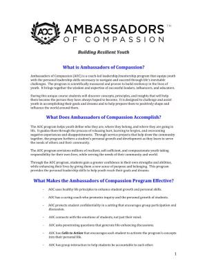 Building Resilient Youth What Is Ambassadors of Compassion?