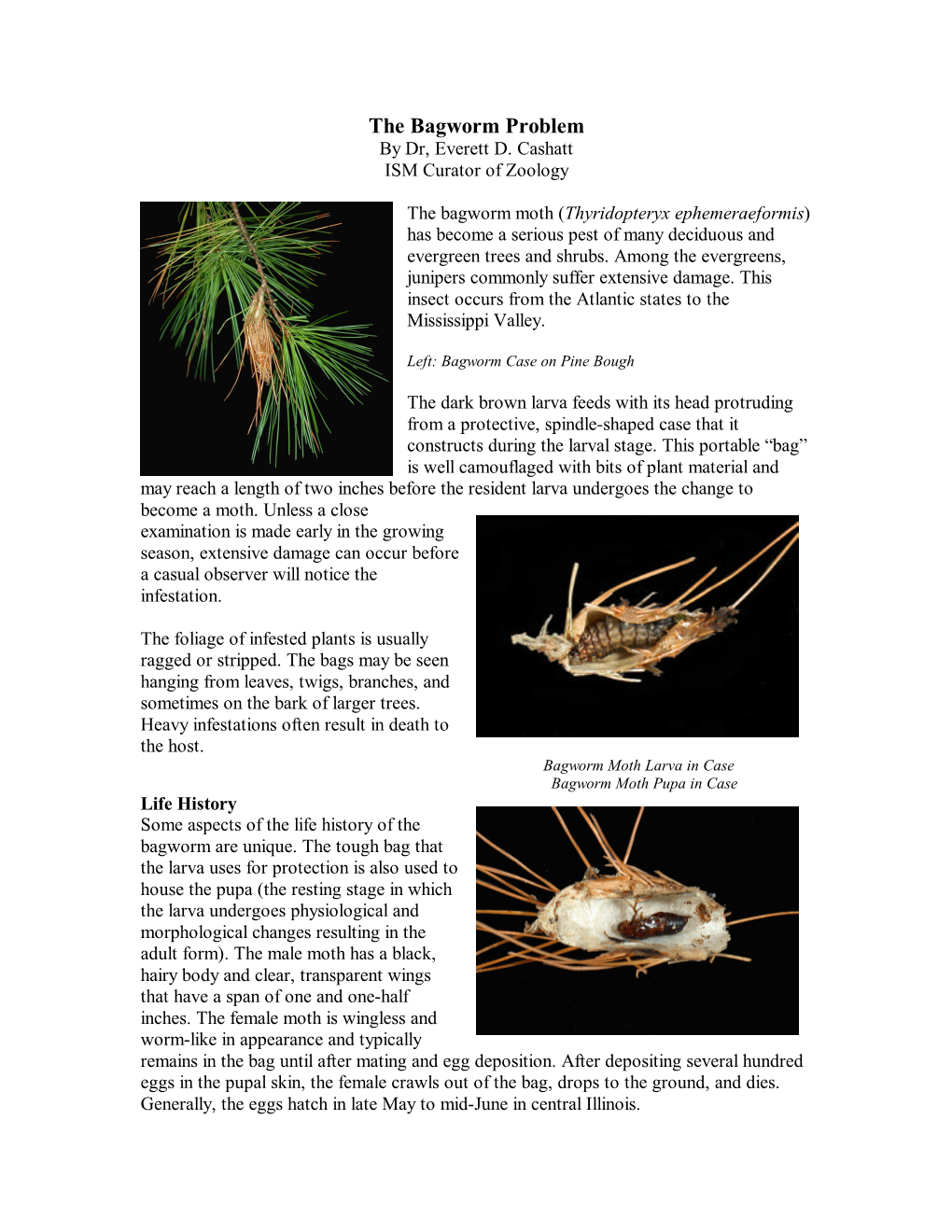 The Bagworm Problem by Dr, Everett D