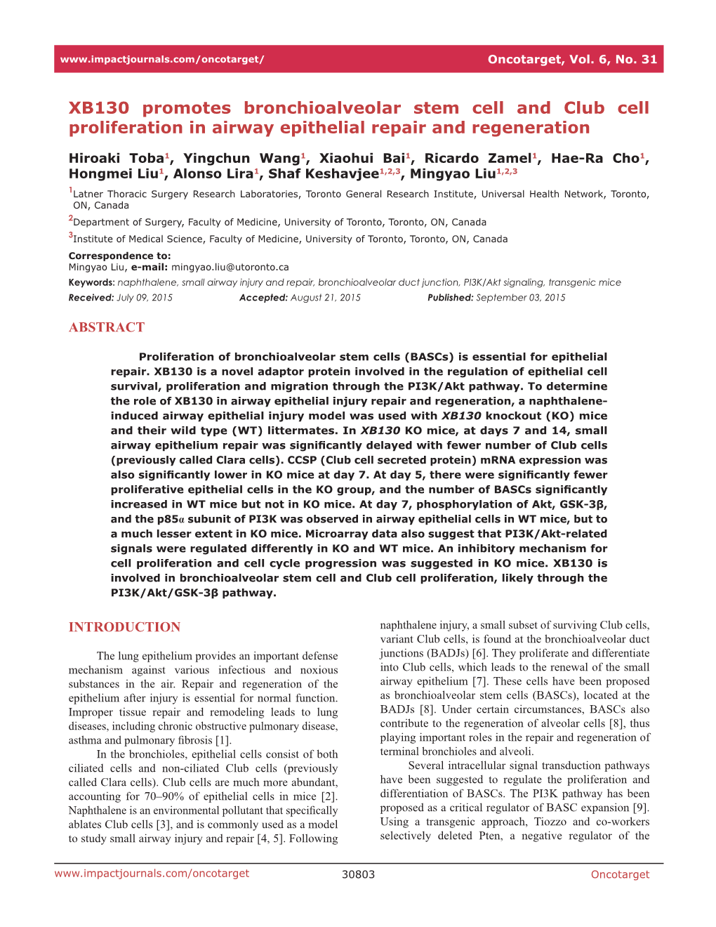 XB130 Promotes Bronchioalveolar Stem Cell and Club Cell Proliferation in Airway Epithelial Repair and Regeneration