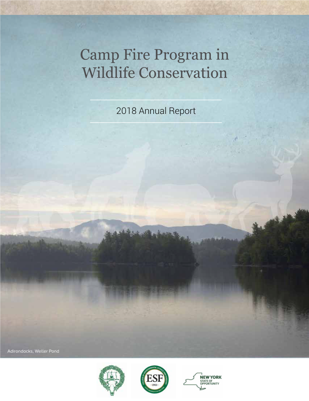 2018 Annual Report (PDF, 4.4