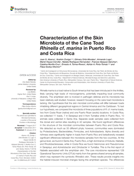 Characterization of the Skin Microbiota of the Cane Toad Rhinella Cf