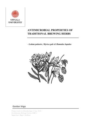 Antimicrobial Properties of Traditional Brewing Herbs